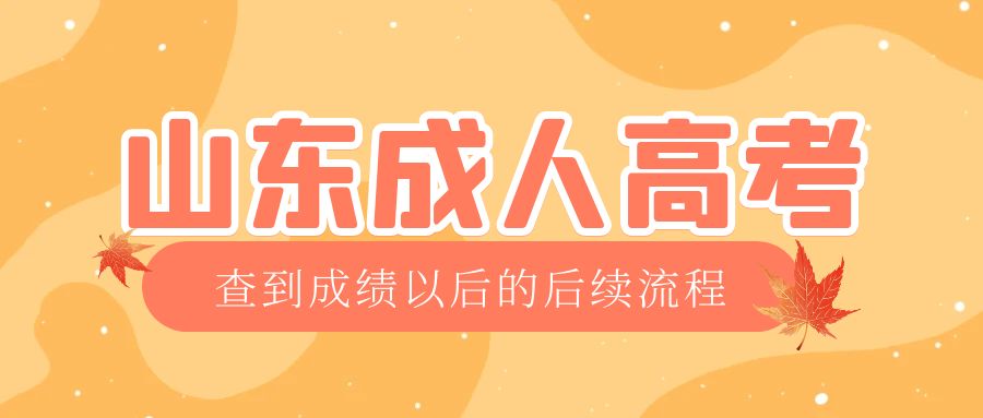曹县成考查完成绩以后做什么，曹县成考网
